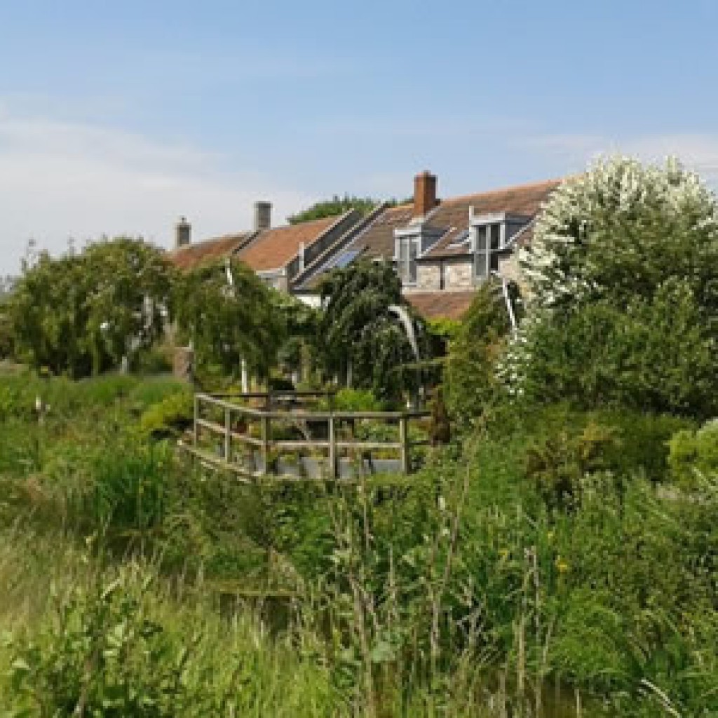 River Yeo loop walk Cheddar Walking